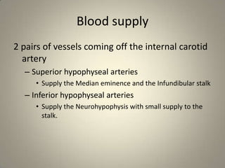 Blood supply2 pairs of vessels coming off the internal carotid arterySuperior hypophyseal arteriesSupply the Median eminence and the Infundibular stalkInferior hypophyseal arteries Supply the Neurohypophysis with small supply to the stalk.