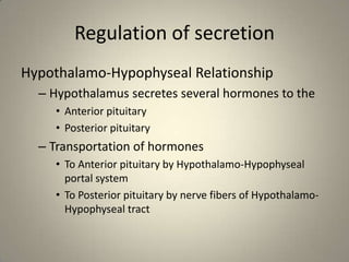 Regulation of secretionHypothalamo-Hypophyseal RelationshipHypothalamus secretes several hormones to the Anterior pituitary Posterior pituitaryTransportation of hormones To Anterior pituitary by Hypothalamo-Hypophyseal portal systemTo Posterior pituitary by nerve fibers of Hypothalamo-Hypophyseal tract