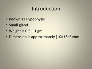 IntroductionKnown as HypophysisSmall gland Weight is 0.5 – 1 gmDimension is approximately (10×13×6)mm.
