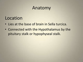 AnatomyLocationLies at the base of brain in Sella turcica.Connected with the Hypothalamus by the pituitary stalk or hypophyseal stalk.