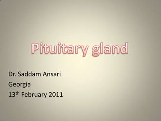 Pituitary gland     Dr. Saddam Ansari  Georgia     13thFebruary 2011  