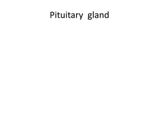 Pituitary gland
 
