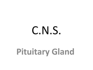 C.N.S.
Pituitary Gland
 
