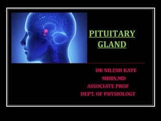 DR NILESH KATE
MBBS,MD
ASSOCIATE PROF
DEPT. OF PHYSIOLOGY
PITUITARY
GLAND
 