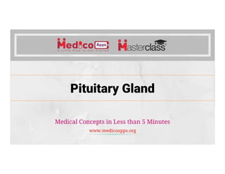 Pituitary Gland
 