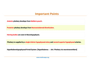 www.medicoapps.org
Important Points
Anterior pituitary develops from Rathke's pouch.
Posterior pituitary develops from Neuroectodermal diverticulum.
Herring bodies are seen in Neurohypophysis.
Pituitary is supplied by a single inferior hypophyseal artery and several superior hypophyseal arteries.
Hypothalamohypophyseal Portal System. [Hypothalamus → Ant. Pituitary via neurotransmitters]
 