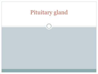 Pituitary gland
 