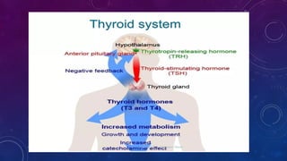 Tp Flag Functional Anatomy and Hormonal Regulation of the Pituitary Gland | PPTX