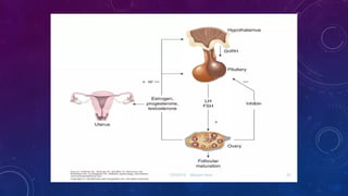 Tp Flag Functional Anatomy and Hormonal Regulation of the Pituitary Gland | PPTX