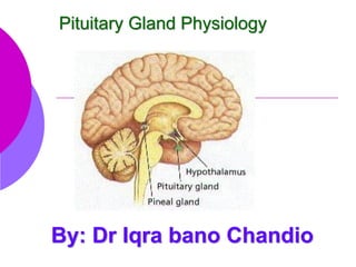 Pituitary Gland Physiology
By: Dr Iqra bano Chandio
 