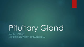 Pituitary Gland
DANISH HASSAN
LECTURER, UNIVERSITY OF SARGODHA
 