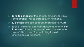  30 to 40 per cent of the anterior pituitary cells are
somatotropes that secrete growth hormone,
 20 per cent are corticotropes that secrete ACTH.
 Each of the other cell types accounts for only 3 to
5 per cent of the total; nevertheless, they secrete
powerful hormones for controlling thyroid
function, sexual functions.
 