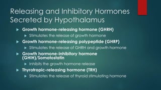 Releasing and Inhibitory Hormones
Secreted by Hypothalamus
 Growth hormone-releasing hormone (GHRH)
 Stimulates the release of growth hormone
 Growth hormone-releasing polypeptide (GHRP)
 Stimulates the release of GHRH and growth hormone
 Growth hormone-inhibitory hormone
(GHIH)/Somatostatin
 Inhibits the growth hormone release
 Thyrotropic-releasing hormone (TRH)
 Stimulates the release of thyroid stimulating hormone
 