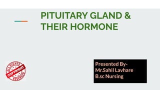 PITUITARY GLAND &
THEIR HORMONE
Presented By-
Mr.Sahil Lavhare
B.sc Nursing
 