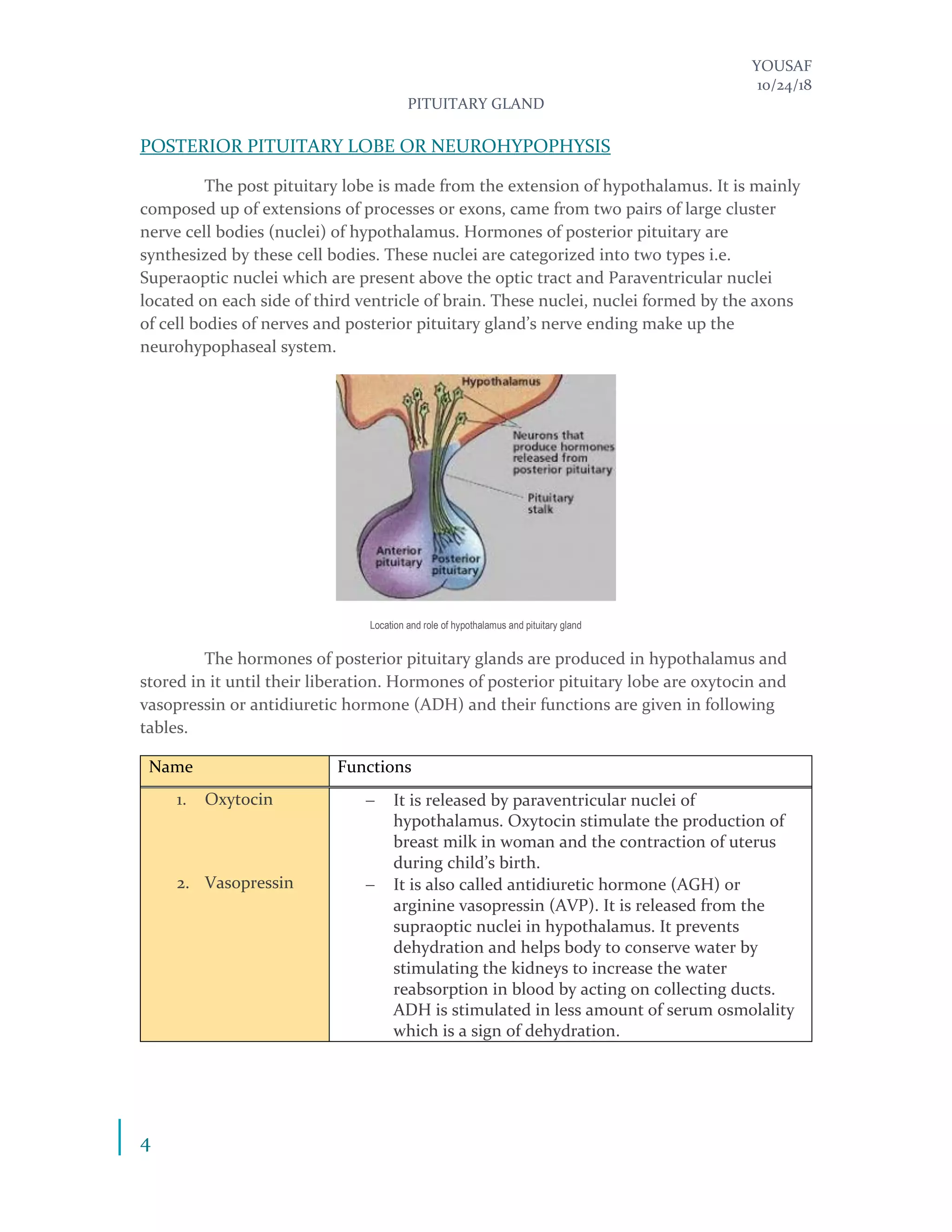YOUSAF
10/24/18
PITUITARY GLAND
4
POSTERIOR PITUITARY LOBE OR NEUROHYPOPHYSIS
The post pituitary lobe is made from the extension of hypothalamus. It is mainly
composed up of extensions of processes or exons, came from two pairs of large cluster
nerve cell bodies (nuclei) of hypothalamus. Hormones of posterior pituitary are
synthesized by these cell bodies. These nuclei are categorized into two types i.e.
Superaoptic nuclei which are present above the optic tract and Paraventricular nuclei
located on each side of third ventricle of brain. These nuclei, nuclei formed by the axons
of cell bodies of nerves and posterior pituitary gland’s nerve ending make up the
neurohypophaseal system.
Location and role of hypothalamus and pituitary gland
The hormones of posterior pituitary glands are produced in hypothalamus and
stored in it until their liberation. Hormones of posterior pituitary lobe are oxytocin and
vasopressin or antidiuretic hormone (ADH) and their functions are given in following
tables.
Name Functions
1. Oxytocin
2. Vasopressin
− It is released by paraventricular nuclei of
hypothalamus. Oxytocin stimulate the production of
breast milk in woman and the contraction of uterus
during child’s birth.
− It is also called antidiuretic hormone (AGH) or
arginine vasopressin (AVP). It is released from the
supraoptic nuclei in hypothalamus. It prevents
dehydration and helps body to conserve water by
stimulating the kidneys to increase the water
reabsorption in blood by acting on collecting ducts.
ADH is stimulated in less amount of serum osmolality
which is a sign of dehydration.
 