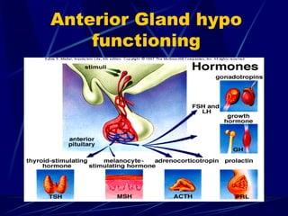 Anterior Gland hypo
functioning
 