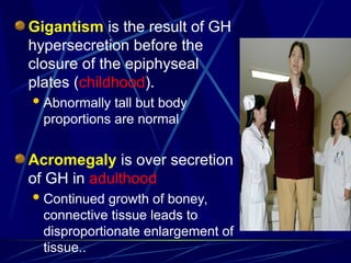 Gigantism is the result of GH
hypersecretion before the
closure of the epiphyseal
plates (childhood).
 Abnormally tall but body
proportions are normal
Acromegaly is over secretion
of GH in adulthood
 Continued growth of boney,
connective tissue leads to
disproportionate enlargement of
tissue..
 