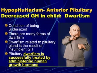 Hypopituitarism- Anterior Pituitary
Decreased GH in child: Dwarfism
Condition of being
undersized
There are many forms of
dwarfism
Dwarfism related to pituitary
gland is the result of
insufficient GH
Pituitary dwarfism is
dwarfism is
successfully treated by
successfully treated by
administering human
administering human
growth hormone
growth hormone
 