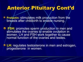 Anterior Pituitary Cont’d
Prolactin: stimulates milk production from the
breasts after childbirth to enable nursing.
FSH: promotes sperm production in men and
stimulates the ovaries to enable ovulation in
women. LH and FSH work together to cause
normal function of the ovaries and testes.
LH: regulates testosterone in men and estrogen,
progesterone in women.
 
