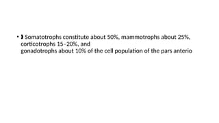 • Somatotrophs constitute about 50%, mammotrophs about 25%,
‰
corticotrophs 15–20%, and
gonadotrophs about 10% of the cell population of the pars anterio
 