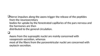 Nerve impulses along the axons trigger the release of the peptides
from the neurosecretory
bodies for uptake by the fenestrated capillaries of the pars nervosa and
the hormones are then
distributed to the general circulation.

Axons from the supraoptic nuclei are mainly concerned with
vasopressin secretion, whereas
most of the fibers from the paraventricular nuclei are concerned with
oxytocin secretion.
 