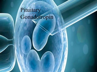 Pituitary Gonadotropin
Dr. Koustuv Chowdhury
MDPGT
Pituitary
Gonadotropin
 