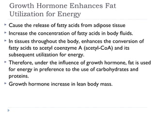 Growth Hormone Enhances Fat
Utilization for Energy
 Cause the release of fatty acids from adipose tissue
 Increase the concentration of fatty acids in body ﬂuids.
 In tissues throughout the body, enhances the conversion of
fatty acids to acetyl coenzyme A (acetyl-CoA) and its
subsequent utilization for energy.
 Therefore, under the inﬂuence of growth hormone, fat is used
for energy in preference to the use of carbohydrates and
proteins.
 Growth hormone increase in lean body mass.
 