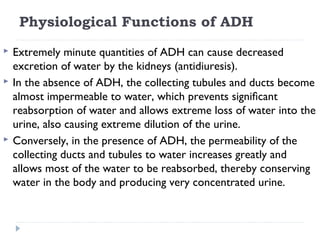 Physiological Functions of ADH
 Extremely minute quantities of ADH can cause decreased
excretion of water by the kidneys (antidiuresis).
 In the absence of ADH, the collecting tubules and ducts become
almost impermeable to water, which prevents signiﬁcant
reabsorption of water and allows extreme loss of water into the
urine, also causing extreme dilution of the urine.
 Conversely, in the presence of ADH, the permeability of the
collecting ducts and tubules to water increases greatly and
allows most of the water to be reabsorbed, thereby conserving
water in the body and producing very concentrated urine.
 