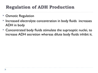 Regulation of ADH Production
 Osmotic Regulation
 Increased electrolyte concentration in body fluids increases
ADH in body
 Concentrated body ﬂuids stimulate the supraoptic nuclei, to
increase ADH secretion whereas dilute body ﬂuids inhibit it.
 