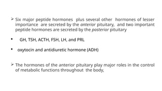  Six major peptide hormones plus several other hormones of lesser
importance are secreted by the anterior pituitary, and two important
peptide hormones are secreted by the posterior pituitary
 GH, TSH, ACTH, FSH, LH, and PRL
 oxytocin and antidiuretic hormone (ADH)
 The hormones of the anterior pituitary play major roles in the control
of metabolic functions throughout the body,
 