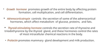  Growth hormone promotes growth of the entire body by affecting protein
formation, cell multiplication, and cell differentiation.
 Adrenocorticotropin controls the secretion of some of the adrenocortical
hormones, which affect metabolism of glucose, proteins, and fats.
 Thyroid-stimulating hormone controls the secretion rate of thyroxine and
triiodothyronine by the thyroid gland, and these hormones control the rates
of most intracellular chemical reactions in the body.
• Prolactin promotes mammary gland development and milk production.
 