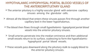 HYPOTHALAMIC-HYPOPHYSIAL PORTAL BLOOD VESSELS OF
THE ANTERIORPITUITARY GLAND
The anterior pituitary is a highly vascular gland with extensive capillary
sinuses among the glandular cells.
 Almost all the blood that enters these sinuses passes first through another
capillary bed in the lower hypothalamus.
The blood then flows through small hypothalamic- hypophysial portal blood
vessels into the anterior pituitary sinuses.
 Small arteries penetrate into the median eminence and then additional
small vessels return to its surface, coalescing to form the hypothalamic-
hypophysial portal blood vessels.
These vessels pass downward along the pituitary stalk to supply blood to
the anterior pituitary sinuses.
 