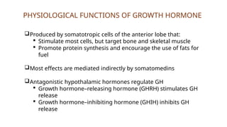 PHYSIOLOGICAL FUNCTIONS OF GROWTH HORMONE
Produced by somatotropic cells of the anterior lobe that:
 Stimulate most cells, but target bone and skeletal muscle
 Promote protein synthesis and encourage the use of fats for
fuel
Most effects are mediated indirectly by somatomedins
Antagonistic hypothalamic hormones regulate GH
 Growth hormone–releasing hormone (GHRH) stimulates GH
release
 Growth hormone–inhibiting hormone (GHIH) inhibits GH
release
 