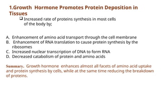1.Growth Hormone Promotes Protein Deposition in
Tissues
A. Enhancement of amino acid transport through the cell membrane
B. Enhancement of RNA translation to cause protein synthesis by the
ribosomes
C. Increased nuclear transcription of DNA to form RNA
D. Decreased catabolism of protein and amino acids
Summary. Growth hormone enhances almost all facets of amino acid uptake
and protein synthesis by cells, while at the same time reducing the breakdown
of proteins.
 Increased rate of proteins synthesis in most cells
of the body by;
 