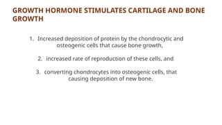 GROWTH HORMONE STIMULATES CARTILAGE AND BONE
GROWTH
1. Increased deposition of protein by the chondrocytic and
osteogenic cells that cause bone growth,
2. increased rate of reproduction of these cells, and
3. converting chondrocytes into osteogenic cells, that
causing deposition of new bone.
 