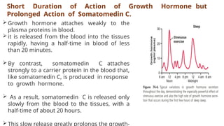Short Duration of Action of Growth Hormone but
Prolonged Action of Somatomedin C.
Growth hormone attaches weakly to the
plasma proteins in blood.
it is released from the blood into the tissues
rapidly, having a half-time in blood of less
than 20 minutes.
By contrast, somatomedin C attaches
strongly to a carrier protein in the blood that,
like somatomedin C, is produced in response
to growth hormone.
 As a result, somatomedin C is released only
slowly from the blood to the tissues, with a
half-time of about 20 hours.
This slow release greatly prolongs the growth-
 