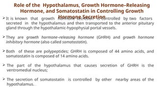 Role of the Hypothalamus, Growth Hormone–Releasing
Hormone, and Somatostatin in Controlling Growth
Hormone Secretion
It is known that growth hormone secretion is controlled by two factors
secreted in the hypothalamus and then transported to the anterior pituitary
gland through the hypothalamic-hypophysial portal vessels.
They are growth hormone–releasing hormone (GHRH) and growth hormone
inhibitory hormone (also called somatostatin).
Both of these are polypeptides; GHRH is composed of 44 amino acids, and
somatostatin is composed of 14 amino acids.
 The part of the hypothalamus that causes secretion of GHRH is the
ventromedial nucleus;
 The secretion of somatostatin is controlled by other nearby areas of the
hypothalamus. .
 