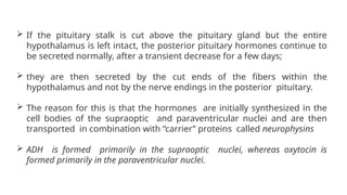  If the pituitary stalk is cut above the pituitary gland but the entire
hypothalamus is left intact, the posterior pituitary hormones continue to
be secreted normally, after a transient decrease for a few days;
 they are then secreted by the cut ends of the fibers within the
hypothalamus and not by the nerve endings in the posterior pituitary.
 The reason for this is that the hormones are initially synthesized in the
cell bodies of the supraoptic and paraventricular nuclei and are then
transported in combination with “carrier” proteins called neurophysins
 ADH is formed primarily in the supraoptic nuclei, whereas oxytocin is
formed primarily in the paraventricular nuclei.
 