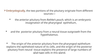 Embryologically, the two portions of the pituitary originate from different
sources—
 the anterior pituitary from Rathke’s pouch, which is an embryonic
invagination of the pharyngeal epithelium,
 and the posterior pituitary from a neural tissue outgrowth from the
hypothalamus.
 The origin of the anterior pituitary from the pharyngeal epithelium
explains the epithelioid nature of its cells, and the origin of the posterior
pituitary from neural tissue explains the presence of large numbers of
glial-type cells in this gland.
 