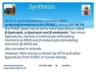 ACTH is synthesized from a protein called
preproopiomelanocortin (POMC). Along with ACTH,
the POMC gives rise to some more byproducts called
β-lipotropin, γ-lipotropin and β-endorphin. Two more
byproducts, namely α-melanocyte-stimulating
hormone (α-MSH) and β-melanocyte-stimulating
hormone (β-MSH) are
also secreted in animals.
However, MSH activity is shown by ACTH and other
byproducts from POMC in human beings
Synthesis
University of Nairobi ISO 9001:2008 38 Certified
http://www.uonbi.ac.ke
 