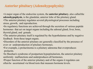 Anterior pituitary (Adenohypophysis):
•A major organ of the endocrine system, the anterior pituitary, also called the
adenohypophysis, is the glandular, anterior lobe of the pituitary gland.
•The anterior pituitary regulates several physiological processes including
stress, growth, and reproduction.
•Its regulatory functions are achieved through the secretion of various peptide
hormones that act on target organs including the adrenal gland, liver, bone,
thyroid gland, and gonads.
•The anterior pituitary itself is regulated by the hypothalamus and by negative
feedback from these target organs.
•Disorders of the anterior pituitary are generally classified by the presence of
over- or underproduction of pituitary hormones.
•For example, a prolactinoma is a pituitary adenoma that overproduces
prolactin.
•In Sheehan's syndrome of postpartum hypopituitarism, the anterior pituitary
uniformly malfunctions and underproduces all hormones.
•Proper function of the anterior pituitary and of the organs it regulates can
often be ascertained via blood tests that measure hormone levels.
 