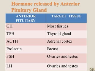 Hormone released by Anterior
Pituitary Gland
ANTERIOR
PITUITARY
TARGET TISSUE
GH Most tissues
TSH Thyroid gland
ACTH Adrenal cortex
Prolactin Breast
FSH Ovaries and testes
LH Ovaries and testes
 