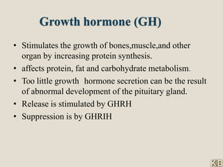 Growth hormone (GH)
• Stimulates the growth of bones,muscle,and other
organ by increasing protein synthesis.
• affects protein, fat and carbohydrate metabolism.
• Too little growth hormone secretion can be the result
of abnormal development of the pituitary gland.
• Release is stimulated by GHRH
• Suppression is by GHRIH
 
