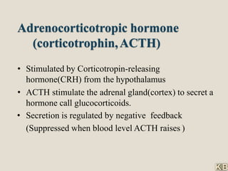Adrenocorticotropic hormone
(corticotrophin,ACTH)
• Stimulated by Corticotropin-releasing
hormone(CRH) from the hypothalamus
• ACTH stimulate the adrenal gland(cortex) to secret a
hormone call glucocorticoids.
• Secretion is regulated by negative feedback
(Suppressed when blood level ACTH raises )
 