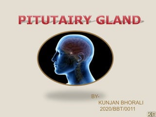 BY-
KUNJAN BHORALI
2020/BBT/0011
 