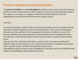 Posterior pituitary(Neurohypophysis):
The posterior pituitary (or neurohypophysis) comprises the posterior lobe of the pituitary
gland and is part of the endocrine system. Despite its name, the posterior pituitary gland is
not a gland, per se; rather, it is largely a collection of axonal projections from the
hypothalamus that terminate behind the anterior pituitary gland.
Anatomy:
The posterior pituitary consists mainly of neuronal projections (axons) extending from the
supraoptic and paraventricular nuclei of the hypothalamus. These axons release peptide
hormones into the capillaries of the hypophyseal circulation. In addition to axons, the
posterior pituitary also contains pituicytes, specialized glial cells resembling astrocytes.
Classification of the posterior pituitary varies, but most sources include the three regions
below:
•Pars nervosa Also called the neural lobe or posterior lobe, this region constitutes the
majority of the posterior pituitary, and is sometimes (incorrectly) considered synonymous
with it. Notable features include Herring bodies and pituicytes.
•Infundibular stalk Also known as the infundibulum or pituitary stalk, the infundibularstalk
bridges the hypothalamic and hypophyseal systems.
 