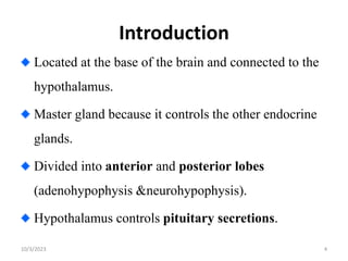Introduction
Located at the base of the brain and connected to the
hypothalamus.
Master gland because it controls the other endocrine
glands.
Divided into anterior and posterior lobes
(adenohypophysis &neurohypophysis).
Hypothalamus controls pituitary secretions.
10/3/2023 4
 