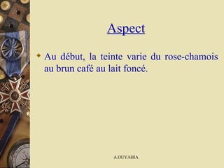 Aspect Au début, la teinte varie du rose-chamois au brun café au lait foncé. 