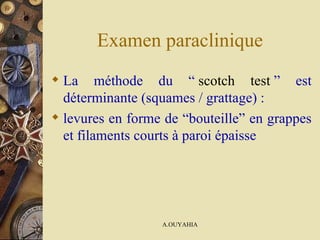 Examen paraclinique La méthode du “   scotch test  ” est déterminante (squames / grattage) :  levures en forme de “bouteille” en grappes et filaments courts à paroi épaisse  