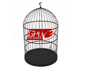 Il mio software è più libero del tuo !